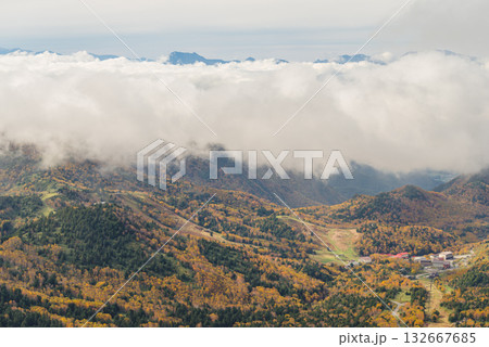志賀高原の紅葉 志賀高原の紅葉 132667685