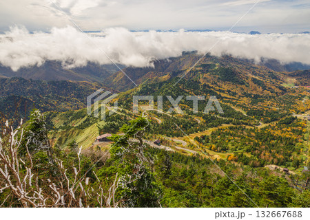 志賀高原の紅葉 132667688