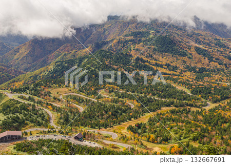 志賀高原の紅葉 132667691