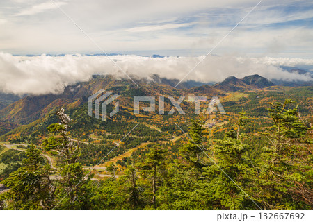 志賀高原の紅葉 132667692