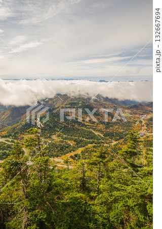 志賀高原の紅葉 志賀高原の紅葉 132667694