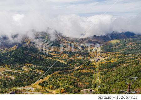 志賀高原の紅葉 志賀高原の紅葉 132667713