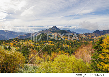 志賀高原の紅葉 志賀高原の紅葉 132667719