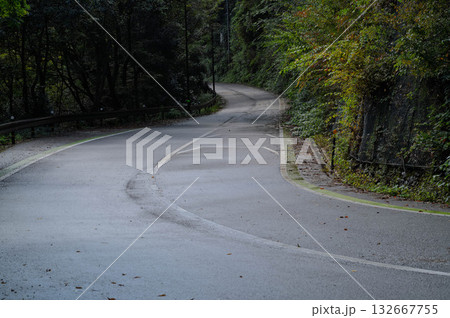 林道のある風景 132667755