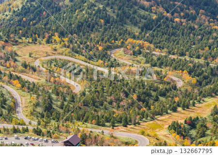 志賀高原　秋のドライブコース 132667795