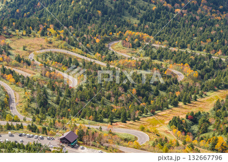 志賀高原　秋のドライブコース 132667796