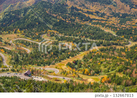 志賀高原　秋のドライブコース 132667813