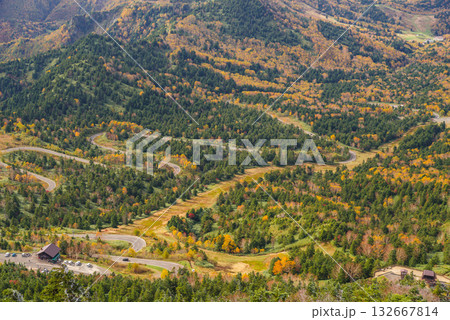 志賀高原　秋のドライブコース 132667814