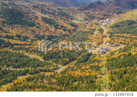 志賀高原　秋のドライブコース 132667816