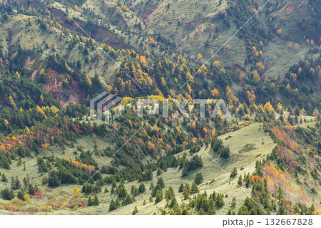 志賀高原の紅葉 132667828