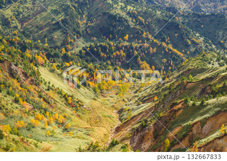 志賀高原の紅葉 132667833