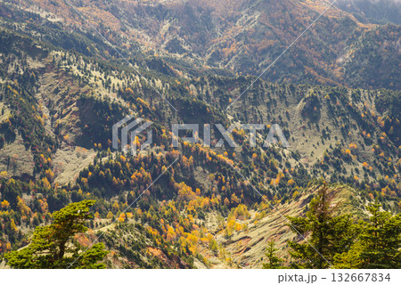 志賀高原の紅葉 132667834