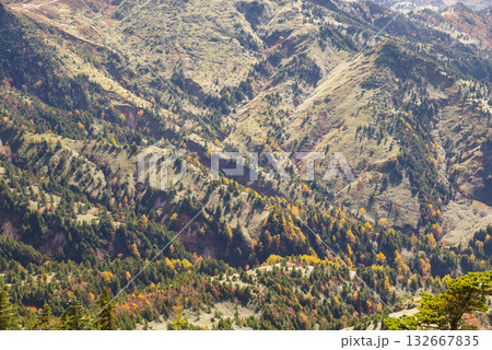 志賀高原の紅葉 132667835