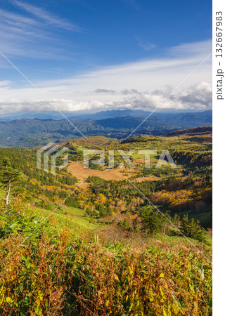 芳ヶ平湿原の紅葉・日本国道標高最高地点から 132667983