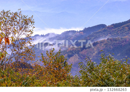 251031乗鞍青年の家g074 132668263