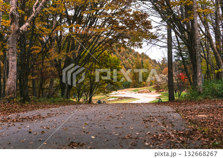 251031乗鞍青年の家g082 132668267