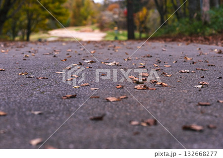 251031乗鞍青年の家m133 132668277