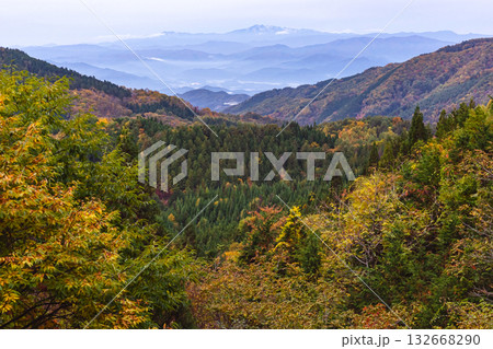 251031乗鞍青年の家z035 132668290