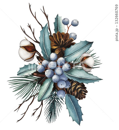 Hand drawn bouquet with Mahonia aquifolium with blue berries, fir cones, cotton, spruce branches. Watercolor illustration. 132668769