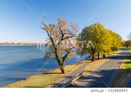 Autumn landscape with asphalt road in the suburbs of Washington, D.C. 132668945