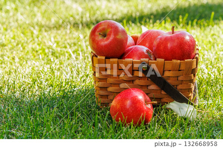 Basket of ripe red apples on a green meadow 132668958