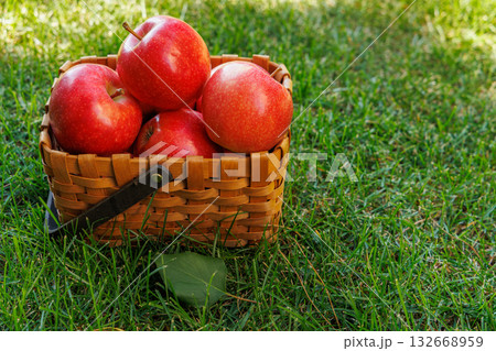 Basket of ripe red apples on a green meadow 132668959