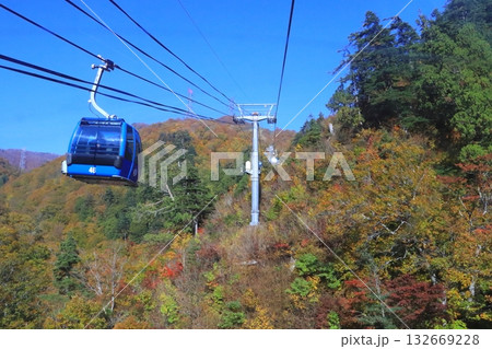 秋の苗場ドラゴンドラ（新潟県湯沢町） 132669228