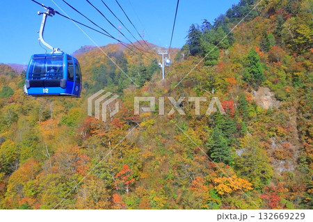 秋の苗場ドラゴンドラ（新潟県湯沢町） 132669229