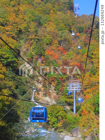 秋の苗場ドラゴンドラ(新潟県湯沢町・縦構図) 秋の苗場ドラゴンドラ(新潟県湯沢町・縦構図) 132669249