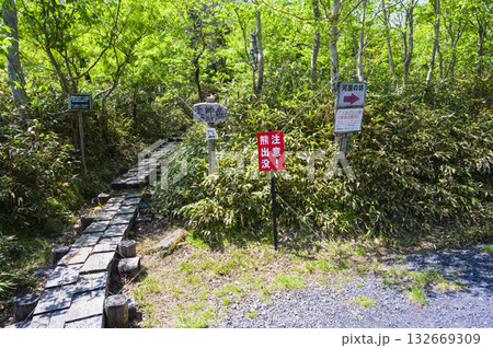 北上山地の薬師岳登山口 北上山地の薬師岳登山口 132669309