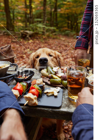 森のバーベキューでテーブル越しに顔を出す犬 132669365