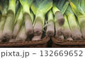 Leeks in the supermarket, ready for sale Fresh vegetables with large green stems 132669652