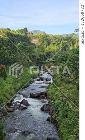 A rapid river with strong currents flows over and around large rocks, creating white water and a small cascade, surrounded by a green. 132669722