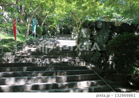 緑に覆われた石段 132669861