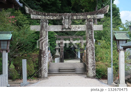 伊萬里神社の鳥居 伊萬里神社の鳥居 132670475