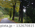 紅葉の遊歩道 132670815