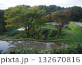 紅葉の遊歩道 132670816