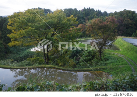 紅葉の遊歩道 紅葉の遊歩道 132670816