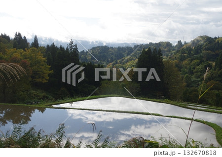 紅葉の遊歩道 132670818