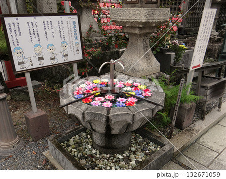 高野山慈尊院の花が浮かべられた手水鉢 高野山慈尊院の花が浮かべられた手水鉢 132671059