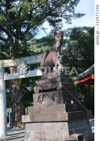 神社にある狛犬 神社にある狛犬 132671144