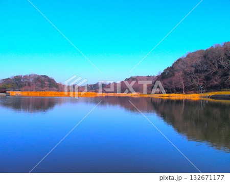 早春の池と森のある21世紀の森と広場の公園風景 132671177