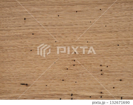 Unique European worm-eaten oak veneer with a distinctive spotted appearance 132671690