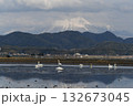 大山とコハクチョウ 132673045