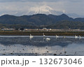 大山とコハクチョウ 132673046