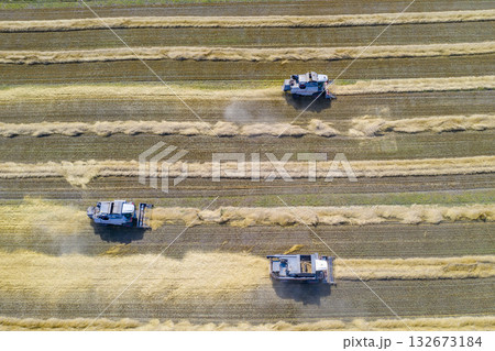 Aerial view of an agricultural combines harvester harvesting grain in Siberia in summer 132673184