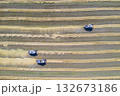 Aerial view of an agricultural combines harvester harvesting grain in Siberia in summer 132673186