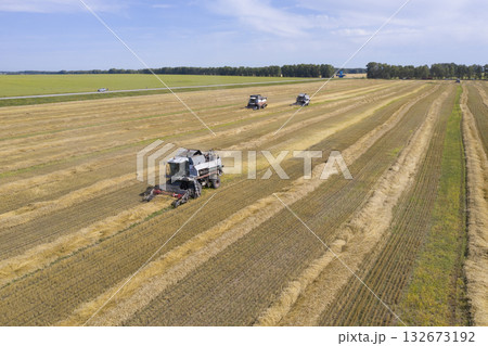 Aerial view of an agricultural combines harvester harvesting grain in Siberia in summer Aerial view of an agricultural combines harvester harvesting grain in Siberia in summer 132673192