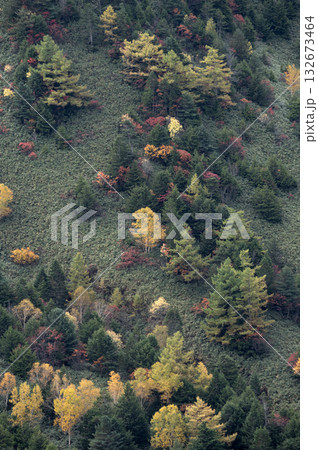 志賀高原渋峠の秋景色 132673464