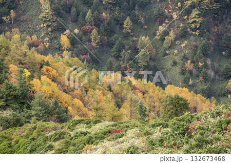 志賀高原渋峠の秋景色 132673468